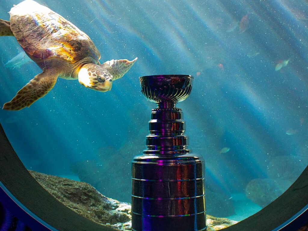 seachange-community6