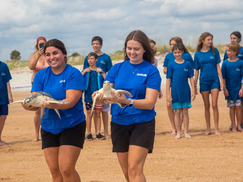 seachange-conservation2