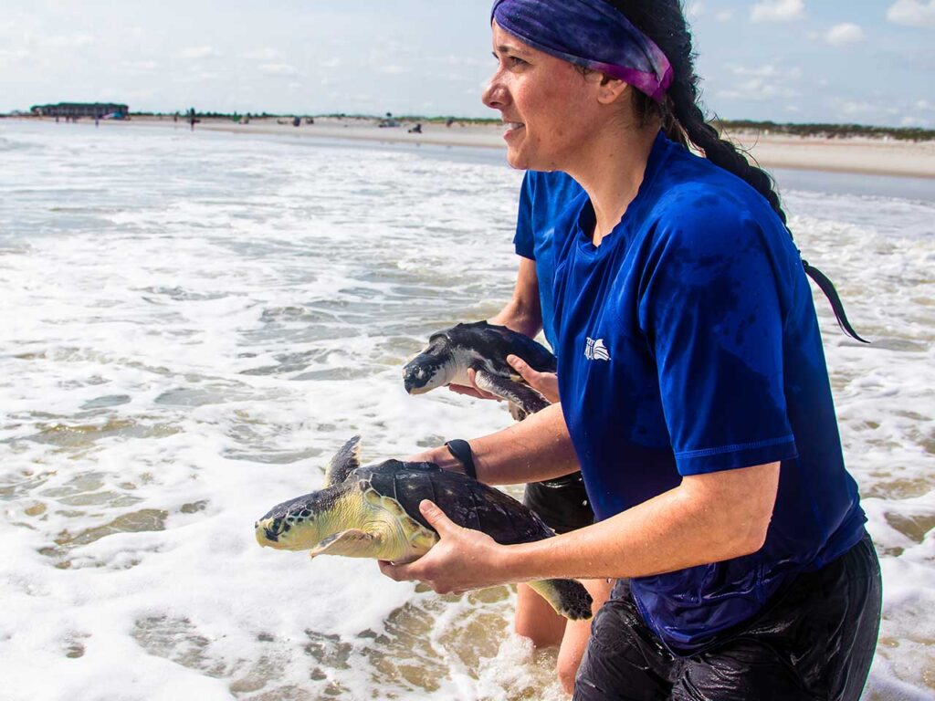 seachange-conservation4