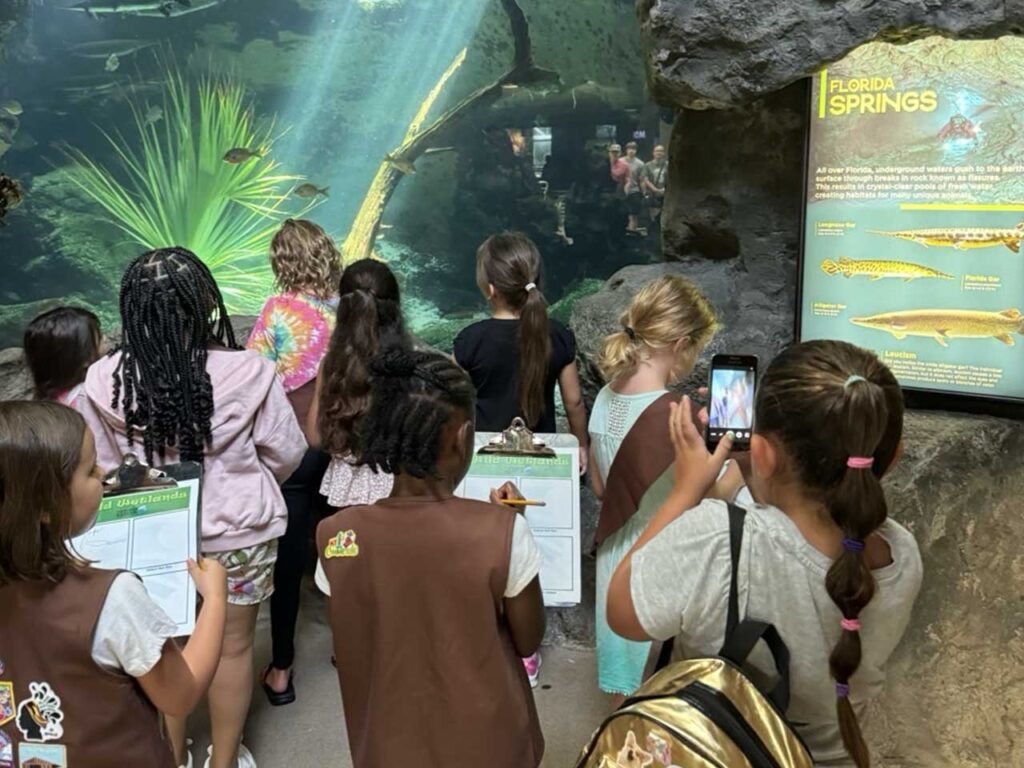 seachange-education1