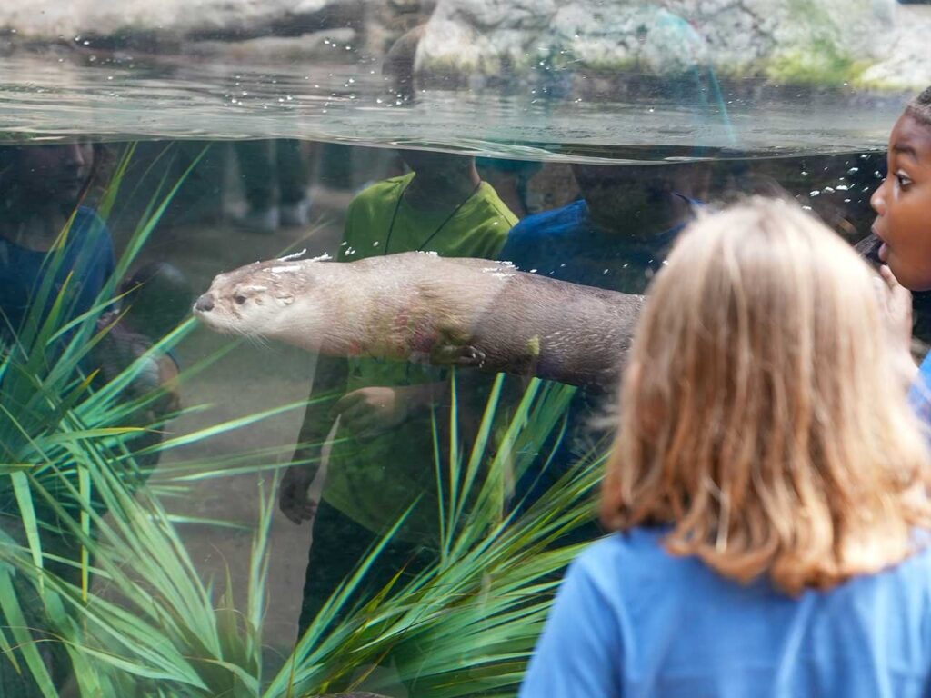 seachange-education2