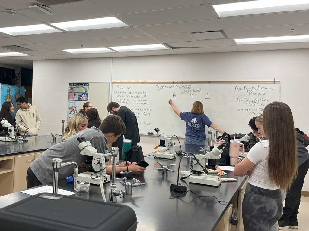 seachange-education3