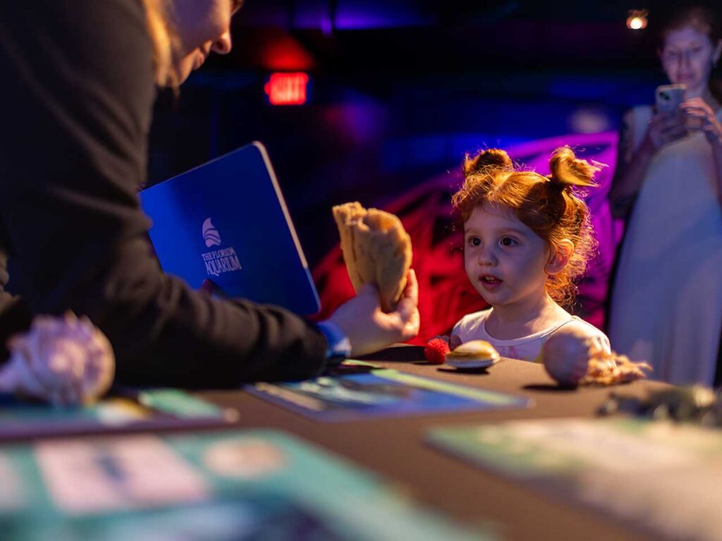 seachange-education6