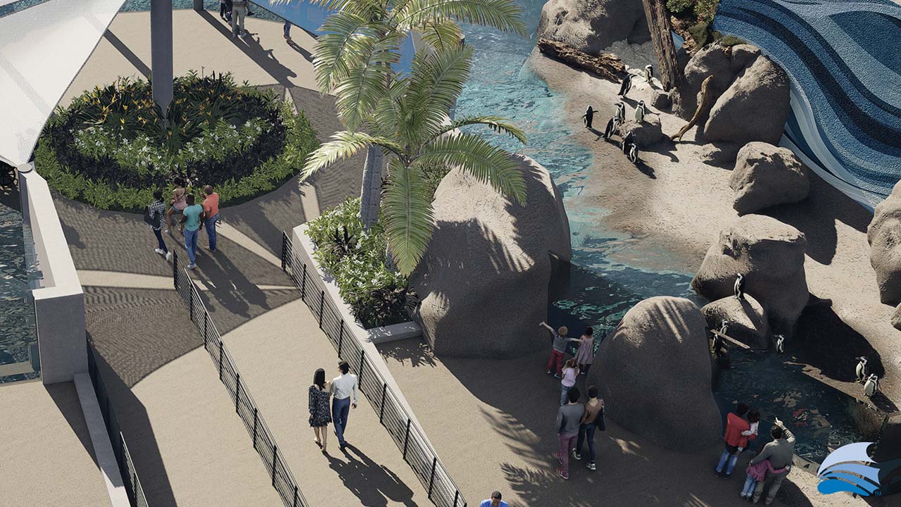 Aerial rendering of the African Penguin habitat