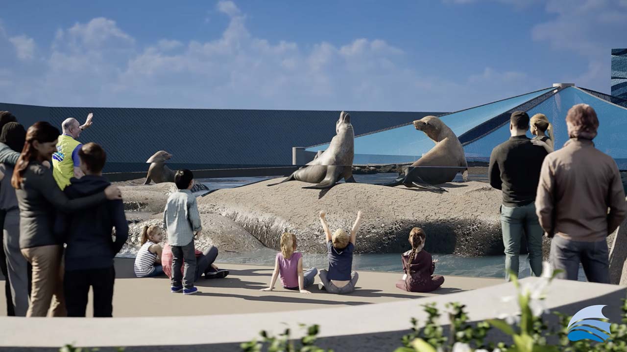 Rendering of the California Sea Lion habitat with sea lions resting on a rock