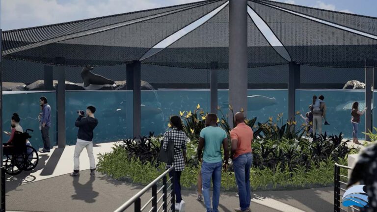 Rendering of the California Sea Lion habitat from inside