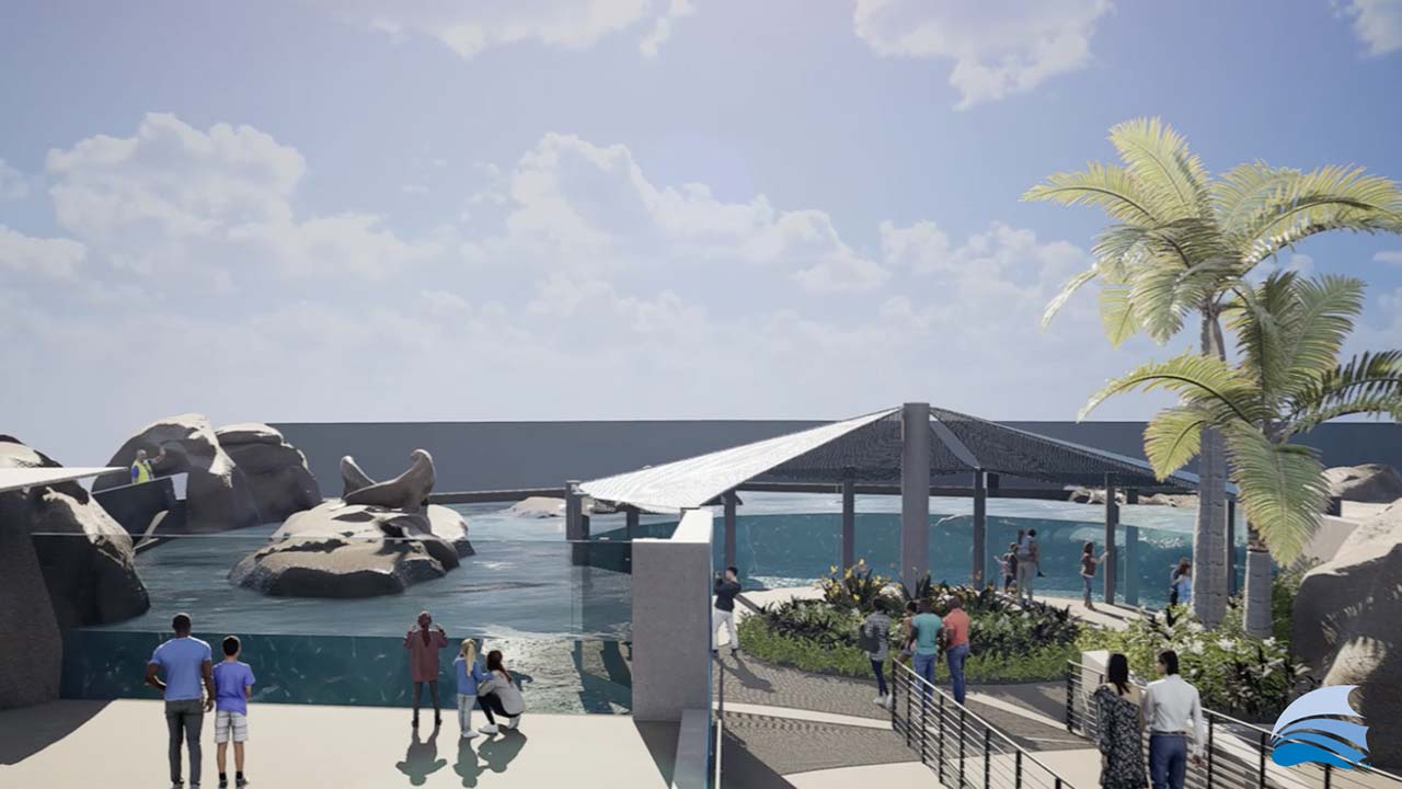 Aerial view rendering of the California Sea Lion habitat