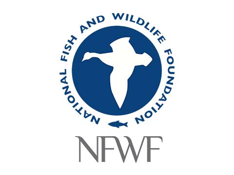 National Fish and Wildlife Foundation logo