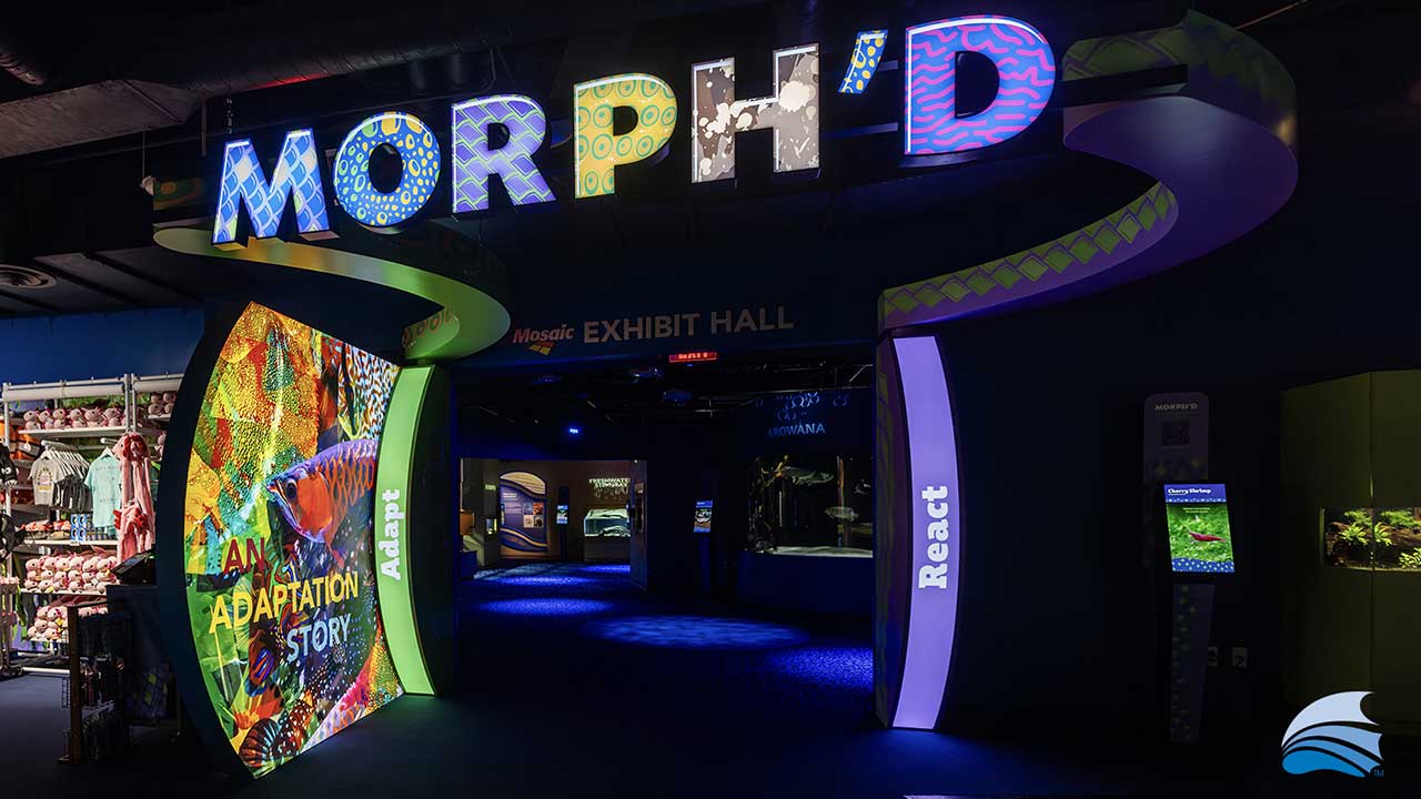 Entrance to Morph'd Exhibit