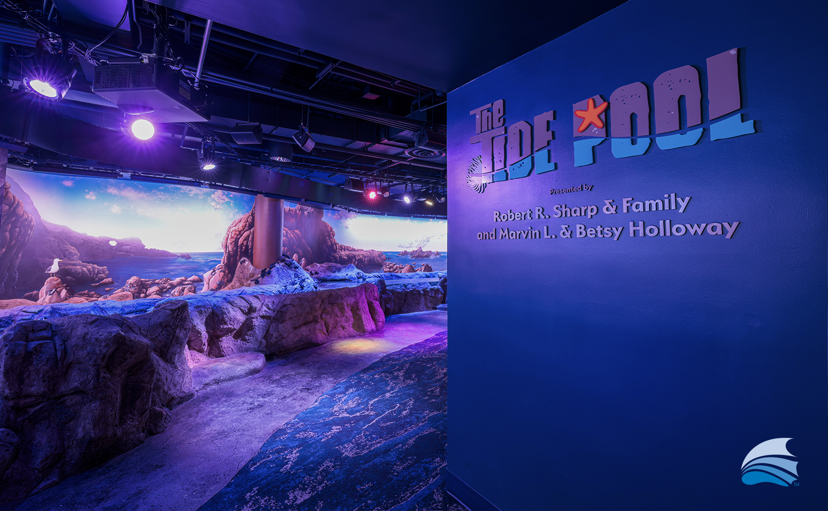 HomePage_PopUps_TidePool1