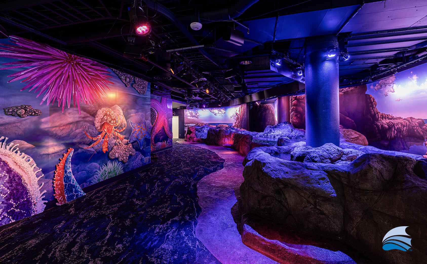 HomePage_PopUps_TidePool2