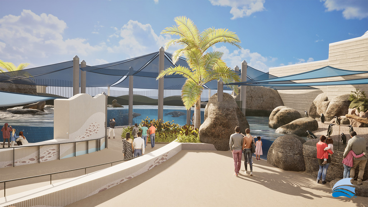 Rendering of guests looking at both California sea lions and South African penguins as part of The Florida Aquarium's Sea Change expansion. November 2025
