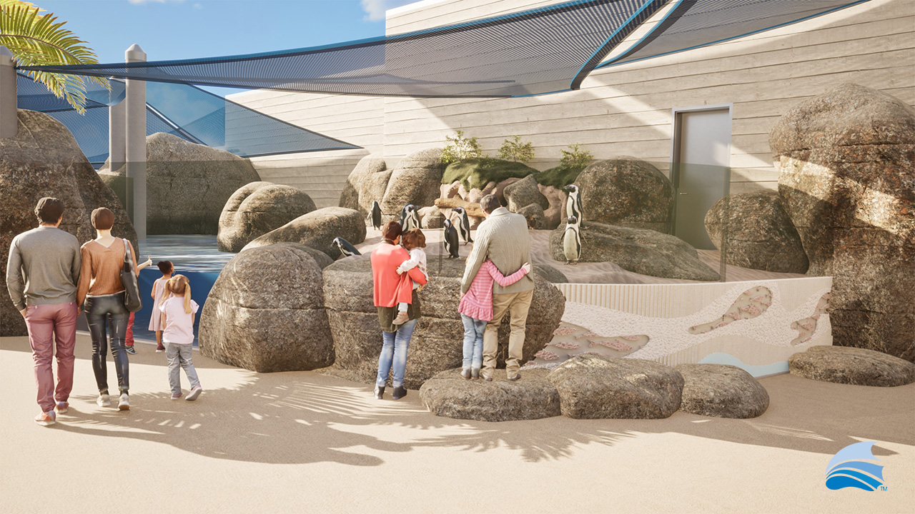 The Florida Aquarium Sea Change Capital Campaign Penguin Habitat rendering from November 2025 of guests looking at South African penguins with The Florida Aquarium wave